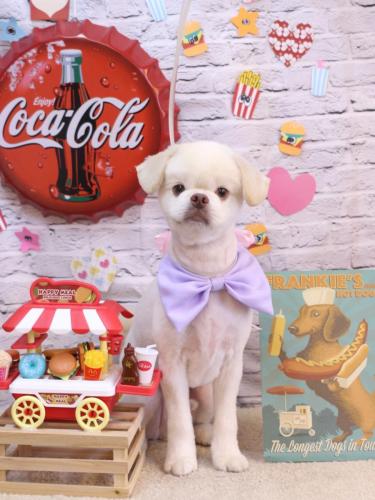 20230917琥珀くん